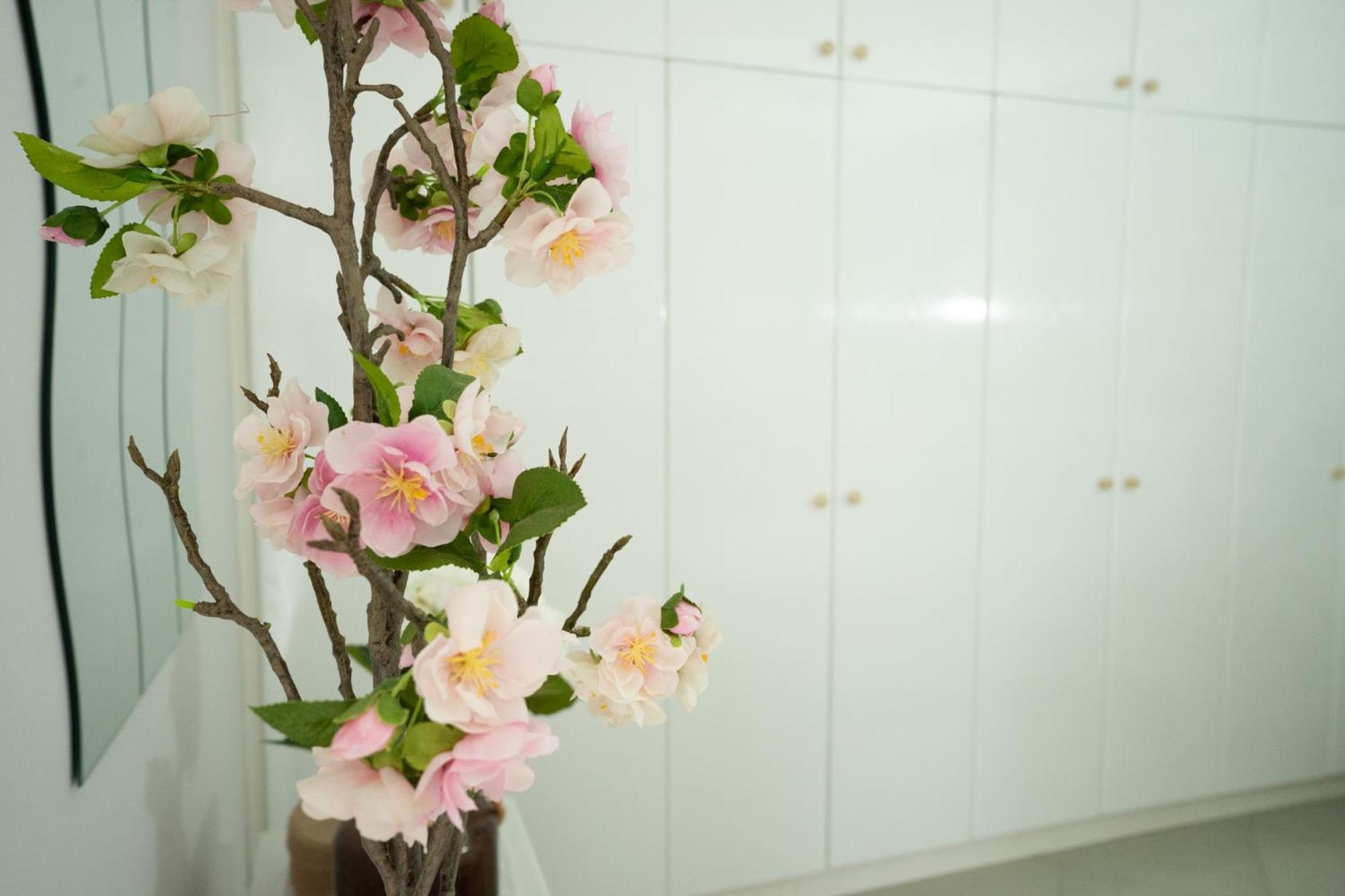 Appartment Greta,德尔锡伦西奥海岸 外观 照片